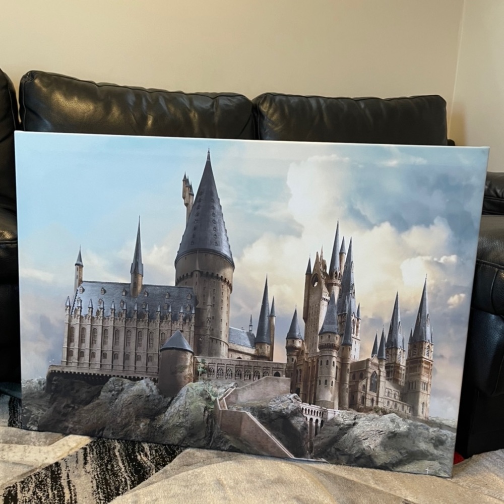 Harry Potter Hogwarts  Picture 26” x 37” ( 2.1ft by 3.1ft) NEW! Made in Canada